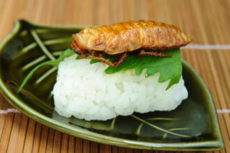 de ce esueaza planul de a inlocui carnea din mancare cu insecte pentru salvarea planetei studiu 685cd08bde144