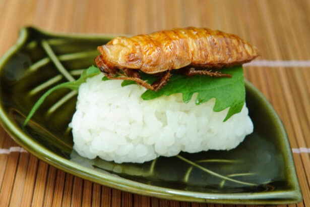 de ce esueaza planul de a inlocui carnea din mancare cu insecte pentru salvarea planetei studiu 685cd08bde144