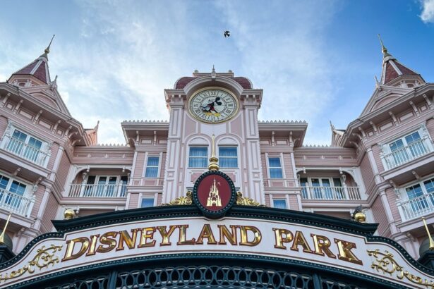 disneyland paris calls in police over alleged fake wedding with child bride 685827d652647