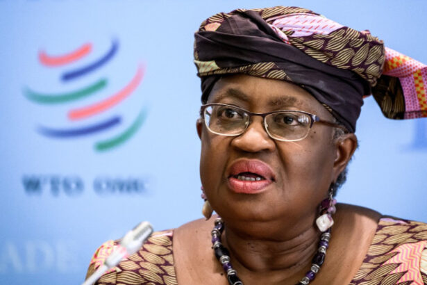 dispute pe tema incalzirii globale sefa organizatiei mondiale a comertului spune ca nu va tacea pentru a l multumi pe donald trump 684c568a6f5e8