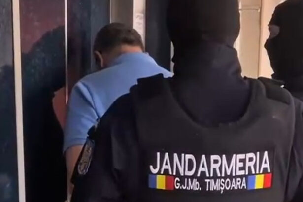 dna aproape toti angajatii isctr timisoara au luat mita unele firme plateau abonamente lunare de 2 500 de euro 684a6f0dab86f