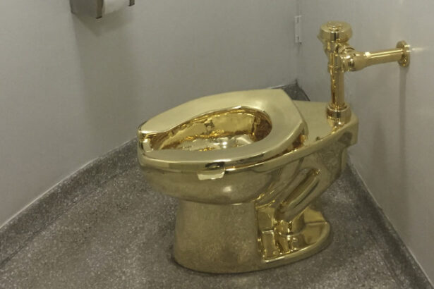doi barbati au fost condamnati la inchisoare in marea britanie pentru furtul unei toalete de aur valoarea estimata a operei de arta 684d288956268