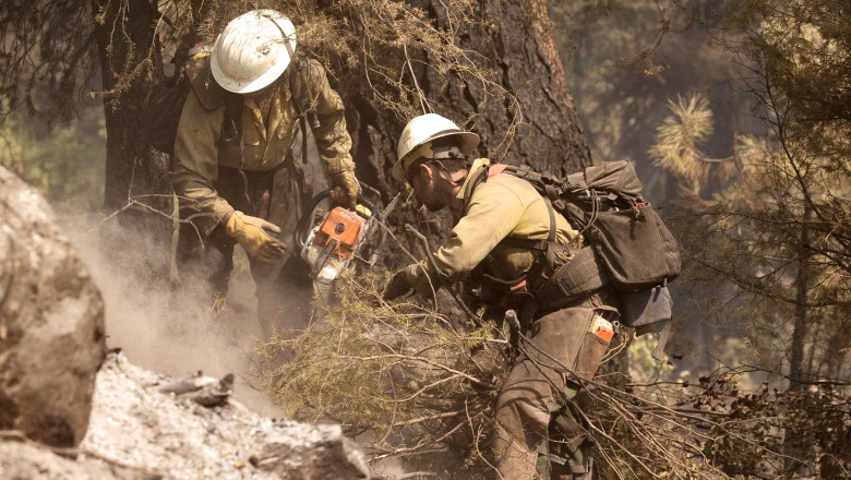 Tragedie în Idaho: Doi decedați și un rănit după un atac asupra pompierilor care luptau cu un incendiu de vegetație. 1 doi morti si un ranit in sua dupa ce pompierii care interveneau la un incendiu de vegetatie au fost atacati in statul idaho 686216571fb53