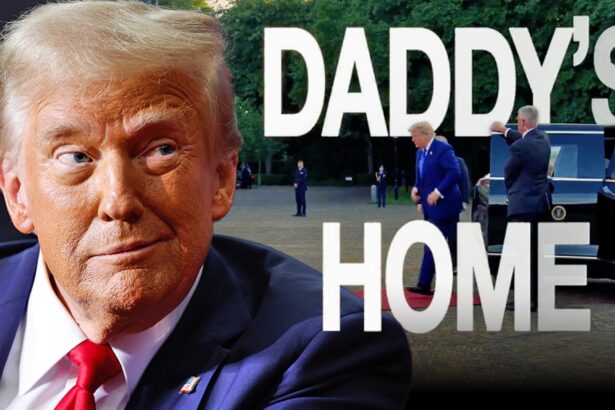 donald trumps wh promo video brags that hes daddy to nato leaders 685d462dc31eb