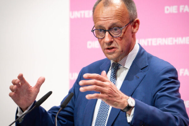 dupa vizita in sua cancelarul german merz spune ca senatorii americani nu au nicio idee despre reinarmarea rusiei 6842fb38390e5