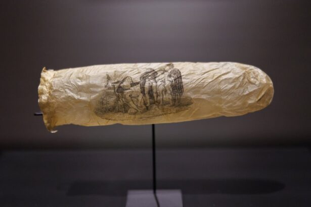 dutch museum displays 200 year old condom we suspect it was never used 683f03e4a4afe