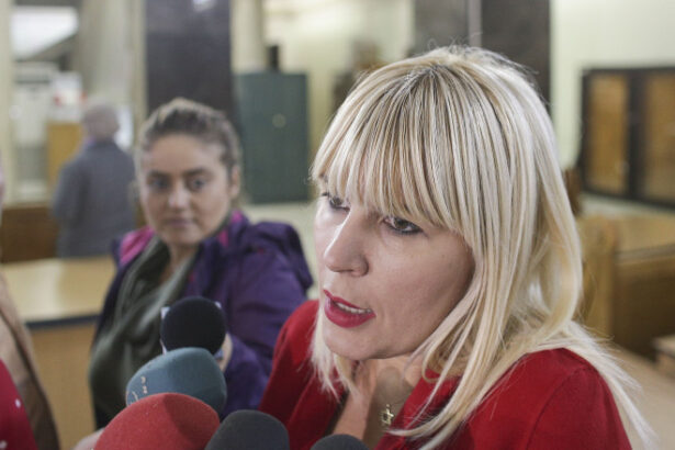 elena udrea si a retras cererea de liberare conditionata ce plan are fostul ministru al turismului surse 6853d582eff31