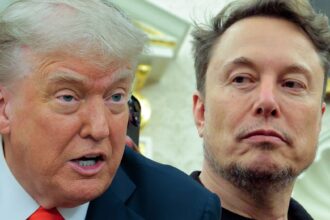 elon musk nukes donald trump with claim presidents in epstein files 6841f57728991