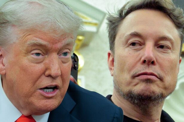 elon musk nukes donald trump with claim presidents in epstein files 6841f57728991