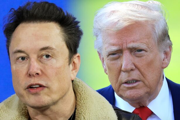 elon musk regrets some tweets about donald trump 6849706441df9