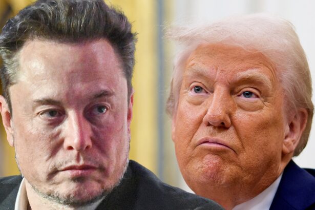 elon musk says donald trump wouldve lost election without him 6841d6fa61e7f