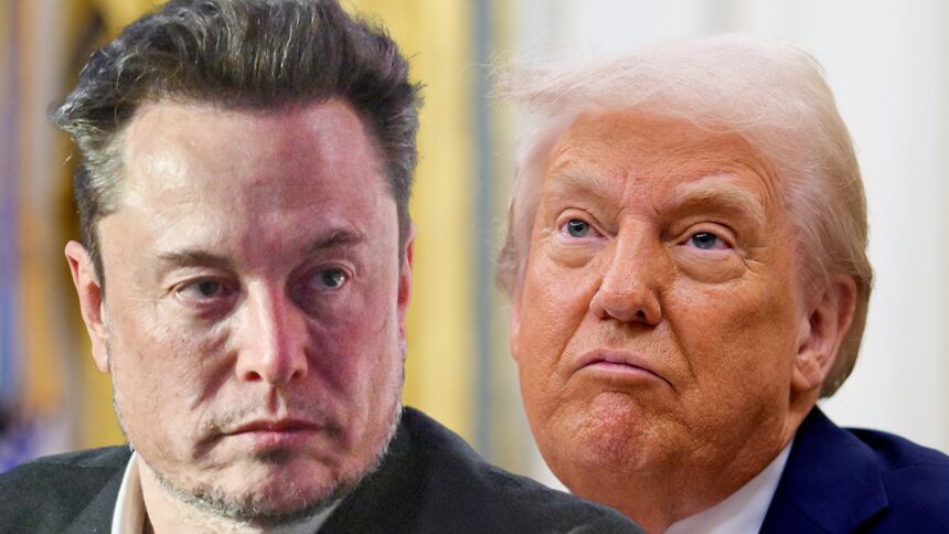 Elon Musk afirmă că Donald Trump nu ar fi câștigat alegerile fără intervenția sa 1 elon musk says donald trump wouldve lost election without him 6841d6fa61e7f