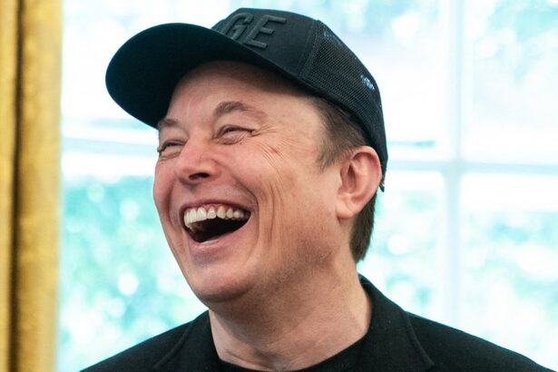 elon musk shares results of urine test following drug use report rumors 68517ecd03dee