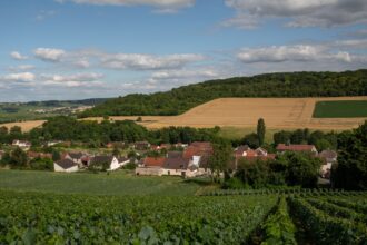 employees at firm that supplied grape pickers for champagne on trial for human trafficking 6854de82c864c