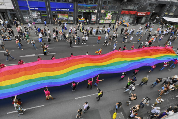 extrema dreapta foloseste drepturile lgbtq ca arma in europa pentru a semana disensiune spun activistii 683c4b56d13da