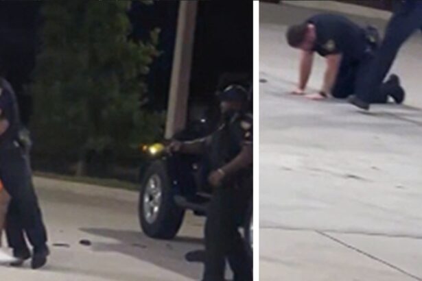 florida sheriffs deputy accidentally shoots partner with taser on video 685c590a7ee63