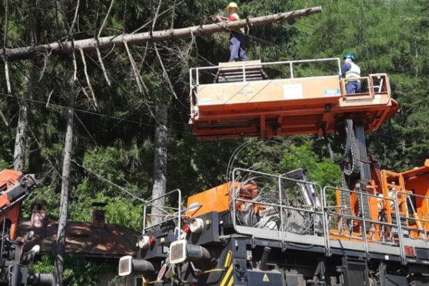 foto circulatia trenurilor intre sinaia busteni reluata dupa ce un copac a cazut pe linia de contact 2 106 minute de intarziere cumulate 686226945f52d