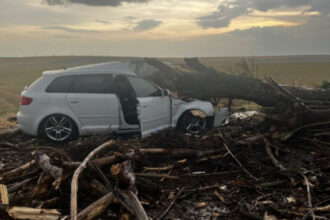 foto un copac doborat de vant a cazut peste o masina in care se aflau doua femei si doi copii in teleorman 685ef91d0e3e3