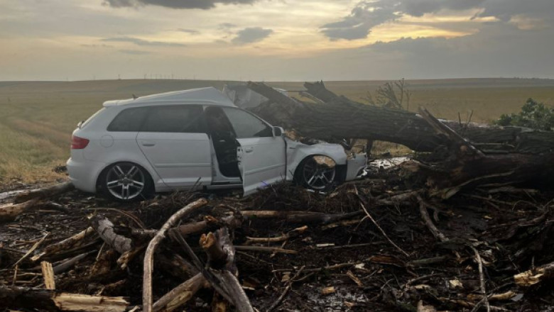 Copacul răsturnat de furtună a strivit o mașină cu două femei și doi copii în Teleorman. 1 foto un copac doborat de vant a cazut peste o masina in care se aflau doua femei si doi copii in teleorman 685ef91d0e3e3