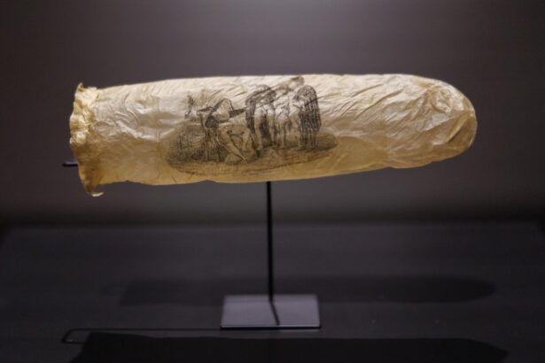 foto un prezervativ vechi de 200 de ani expus intr un muzeu din amsterdam banuim ca nu a fost folosit niciodata 683ff37076a03