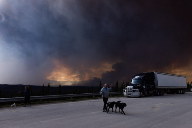 fumul degajat de incendiile violente din canada a ajuns in europa ce arata datele copernicus 683efe821436e