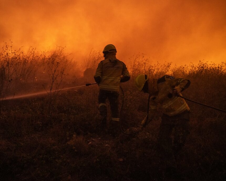 Fondurile destinate combaterii incendiilor forestiere din Europa sunt redirecționate greșit, avertizează organismul de control al UE 1 funds to tackle europes forest fires being misdirected says eu watchdog 6849b0b636582
