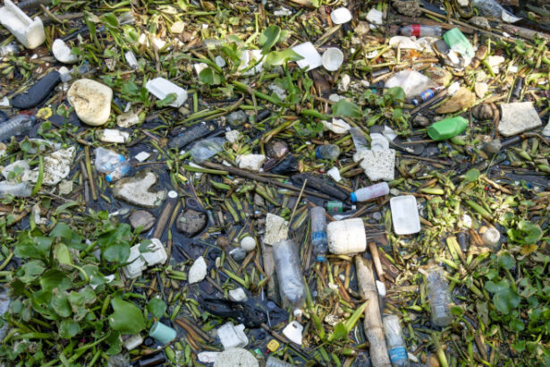 garda de mediu a controlat aproape toate localitatile din tara gradul de reciclare a deseurilor a scazut in loc sa creasca 6853963a29140