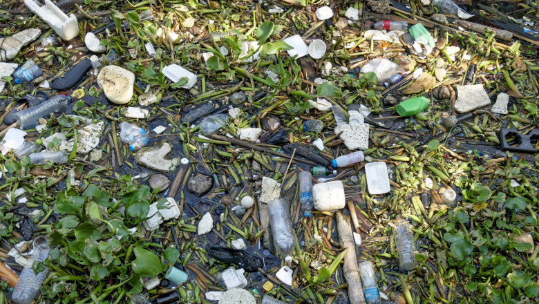 Garda de Mediu a verificat majoritatea orașelor din țară: „Reciclarea deșeurilor a înregistrat o scădere, în loc să progreseze” 1 garda de mediu a controlat aproape toate localitatile din tara gradul de reciclare a deseurilor a scazut in loc sa creasca 6853963a29140