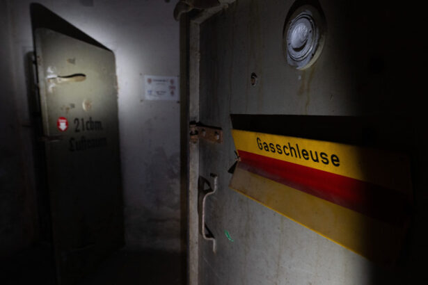 germania vrea o extindere rapida a buncarelor din cauza unui posibil atac al rusiei apelul unui inalt oficial faceti provizii 684543fcec003