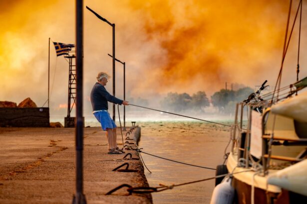 greece wildfires woman charged with unintentional arson after cigarette allegedly started blaze on chios 685cd6529de0f