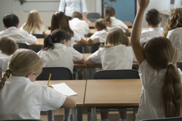 in anul scolar 2025 2026 vor fi eliminate mai multe categorii de burse scolare ministrul educatiei nu ne mai permitem financiar 685e37f926e73