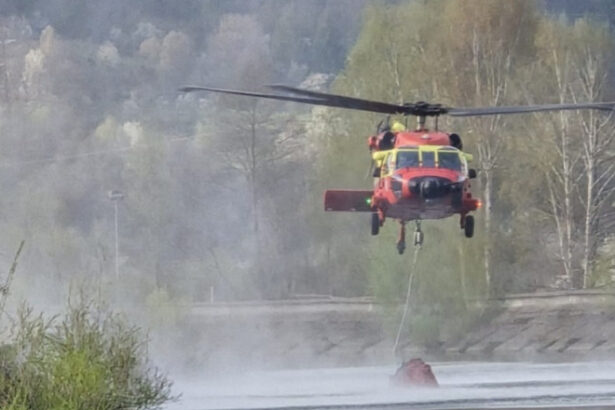 incendii de vegetatie pe clisura dunarii pompierii intervin de trei zile cu sprijinul a doua elicoptere black hawk 68569bb3634ad