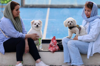 interdictii tot mai dure in iran plimbatul cainilor si transportul acestora cu masina interzise in mai multe orase 6846c0d820669