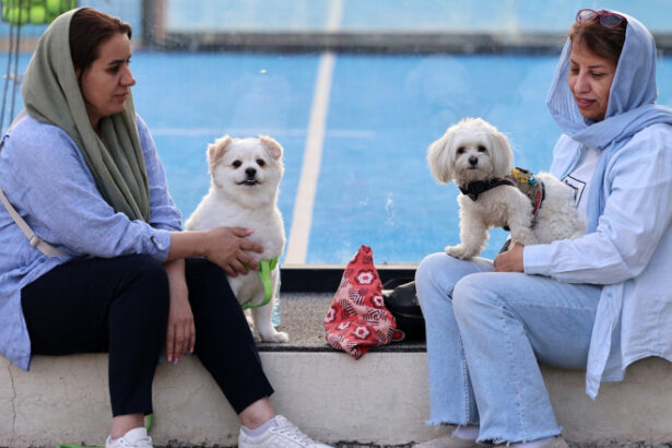 interdictii tot mai dure in iran plimbatul cainilor si transportul acestora cu masina interzise in mai multe orase 6846c0d820669