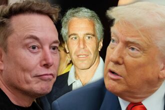 jeffrey epstein had zero dirt on donald trump says epsteins defense lawyer 68430a070547d
