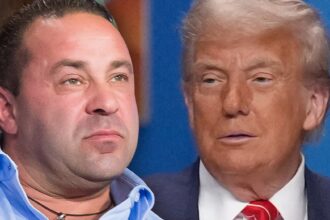 joe giudice begs donald trump to pardon him let him visit u s a again 685dcebc13d83