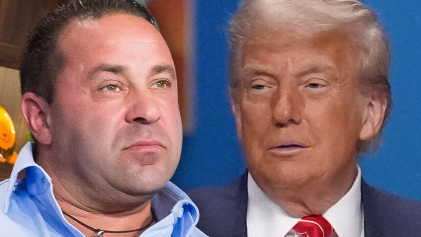 Joe Giudice îl roagă pe Donald Trump să-l grațieze, pentru a putea reveni în SUA. 1 joe giudice begs donald trump to pardon him let him visit u s a again 685dcebc13d83