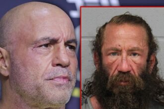 joe rogan told cops liver king appears mentally unstable alleges drug issue 685c8a591d14e