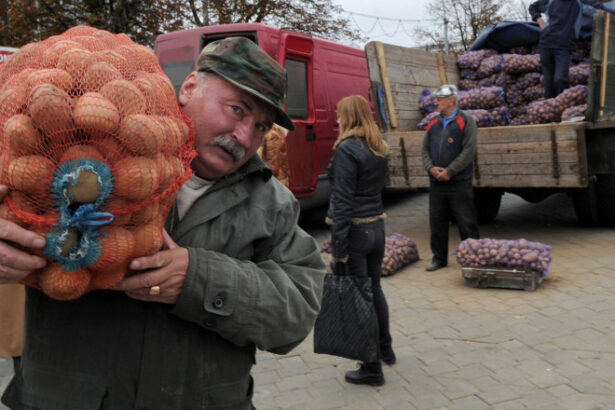mafia cartofilor starneste furie in belarus cum a declansat lukasenko o criza agricola de care profita rusia 685e18821d2d3