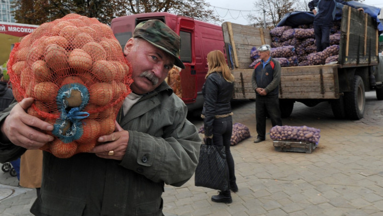 „Revolta cartofilor” zguduie Belarusul. Impactul crizei agricole provocate de Lukașenko și avantajele Rusiei. 1 mafia cartofilor starneste furie in belarus cum a declansat lukasenko o criza agricola de care profita rusia 685e18821d2d3