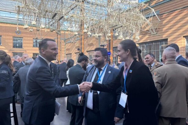 ministrul de externe oana toiu a participat la consiliul nato ucraina avem o misiune importanta de indeplinit impreuna 685b916be59ab