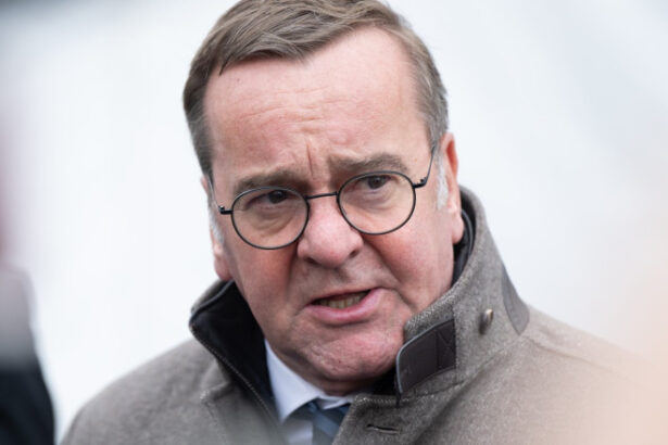 ministrul german al apararii moscova nu are in prezent niciun interes pentru o rezolvarea pasnica a conflictului 684ac817d2cb1