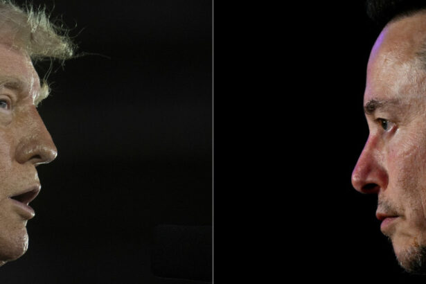 moscova este gata sa i acorde azil lui elon musk daca va fi necesar pe fondul conflictului cu donald trump afirma un oficial rus 6842ef8252c7b