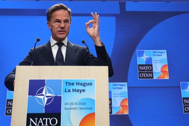 nato summit expected to be triumphant for trump and deflating for ukraine 685a75db2e6b0