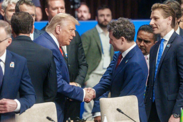 news alert nicusor dan declaratie de la summitul nato am reafirmat sprijinul pentru ucraina ce a discutat cu donald trump 685c06567fb8a