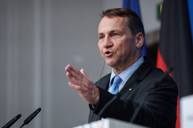 o cursa a inarmarii ar putea grabi prabusirea regimului putin considera seful diplomatiei poloneze 685d67af32dae