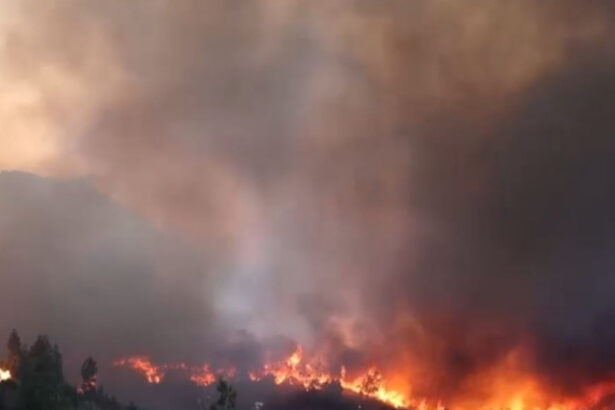 o menajera este acuzata ca a provocat unul dintre incendiile devastatoare din insula greceasca chios 685ce6c31d6c8