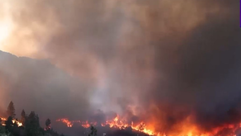 O servitoare bănuită că a generat un incendiu catastrofal pe insula Chios din Grecia. 1 o menajera este acuzata ca a provocat unul dintre incendiile devastatoare din insula greceasca chios 685ce6c31d6c8