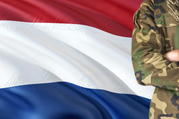 olanda a aprobat cresterea cheltuielilor pentru aparare la 35 din pib 684c487bba5a9