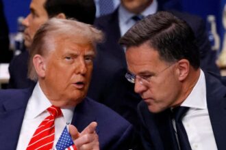 orchestrated grovel critics react to europes attempts to tame donald trump 685ec66532af2